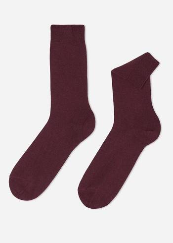 Calzedonia Crew with Cashmere Socken Herren Bordeaux | CH1350QZ