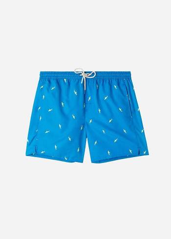 Calzedonia Formentera Badehose Herren Blau Grau | CH1252UT