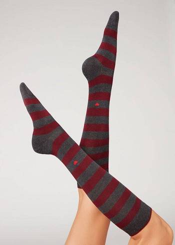 Calzedonia Gestreift Long Socken Damen Rot | CH1927YU