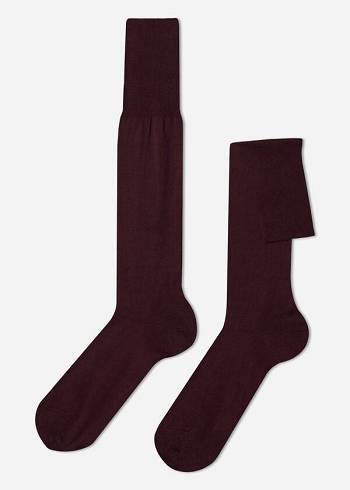 Calzedonia Lisle Thread Long Socken Herren Bordeaux | CH1430EX