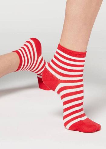 Calzedonia Stripe Patterned Kurzes Socken Damen Rot | CH1644OR