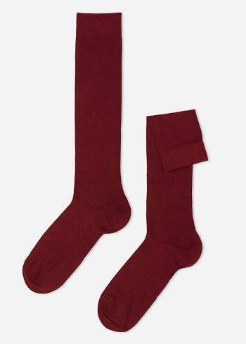 Calzedonia Warm Baumwoll Long Socken Herren Rot | CH1399BC