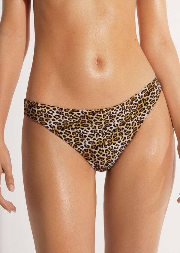 Calzedonia Malindi Bikinihosen Damen Braun | CH2692JJ